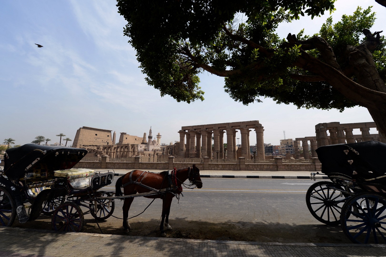 ( AFP / KHALED DESOUKI)